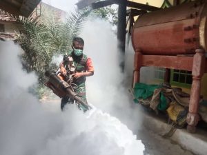 Cegah Penularan DBD, Babinsa Terjun Langsung Bantu Fogging