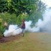 Berantas Penyebaran DBD, Babinsa Bersama PKM Adakan Fogging