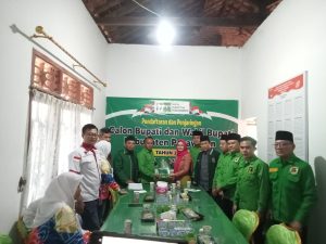 PPP Beri Sinyal untuk Nanda Indira