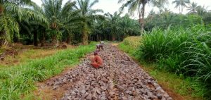 Desa Sukacari Bangun Telford di Dua Dusun