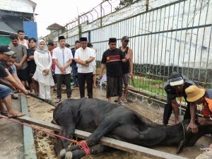 Rutan Sukadana Lakukan Pemotongan Hewan Qurban Usai Sholat Idul Adha