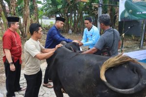 Keluarga Besar Polres Metro Sembelih hewan Qurban di Hari Raya Idul Adha 1445 H