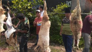 Peduli Insan Pers, Pokja Konstituen Dewan Pers Banten Potong Hewan Kurban