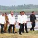 Kunjungan ke Sragi, Jokowi Beri Bantuan Pompa Air Sawah untuk Petani