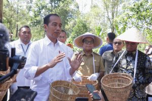 Presiden Joko Widodo Dorong Peningkatan Produktivitas Kopi di Lampung Barat