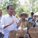 Presiden Joko Widodo Dorong Peningkatan Produktivitas Kopi di Lampung Barat