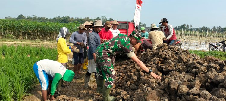 JUT Berlubang, Babinsa Koramil 06/PBL Bersama Warga Adakan Gotong Royong