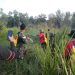 Gerak Cepat, Babinsa Bersama Personil Gabungan Padamkam Karhutla di Kawasan TNWK