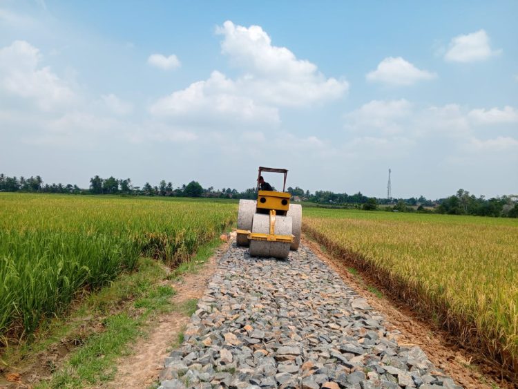 Sukseskan Program Ketahanan Pangan Desa Tulusrejo Bangun Jalan Oderlagh di Dusun 1 – 3