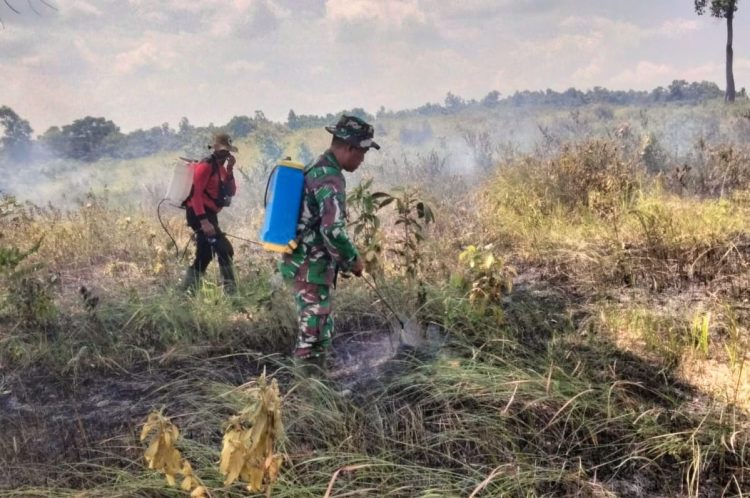 Kawasan TNWK Kembali Terbakar, Ini Harapan Dandim 0429/Lamtim