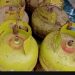 Elpiji 3 Kg di Bagelen Langka
