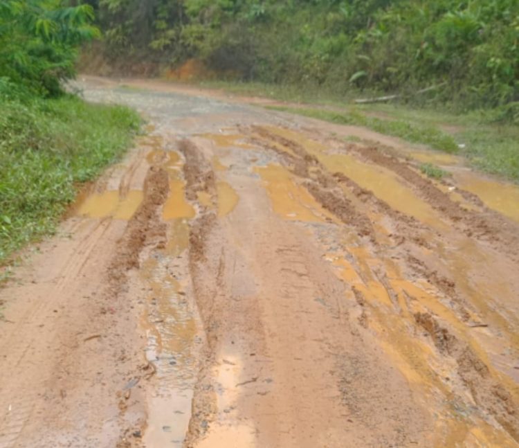 HUT Provinsi Banten 24 Tahun , Masyarakat Panggarangan Harapkan Perbaikan Infrastruktur Jalan