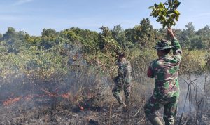 Dua Lokasi TNWK Terbakar, Ini yang Dilakukan Babinsa Kodim 0429/Lamtim