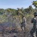 Dua Lokasi TNWK Terbakar, Ini yang Dilakukan Babinsa Kodim 0429/Lamtim