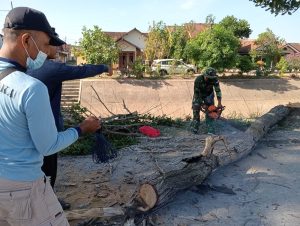 Kompak Koramil 12/Batanghari Bersama Instansi Terkait Tebang Pohon Bahayakan Pengendara