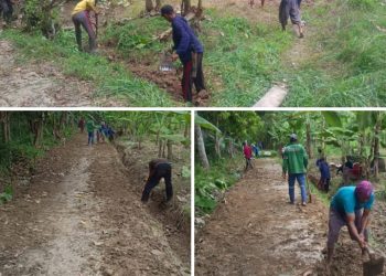 Kepala Desa Sukabumi Oku Timur Gelar Gotong-royong Bersama Warga