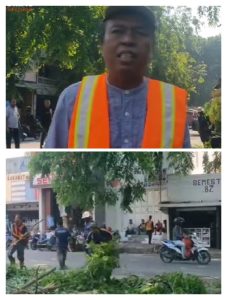 Dinas PUPR Banten UPTDPJJ Lebak lakukan Pemangkasan Dahan Pohon di Sepanjang Jalan Ahmad Yani dan Kalijaga
