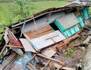 Akibat Hujan Lebat dan Angin Kencang, Pohon Tumbang Menimpa Rumah Seorang Warga di Cikumpay