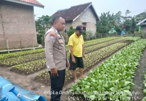 Polres Metro Terus Sosialisasikan Ketahanan Pangan ke Masyarakat