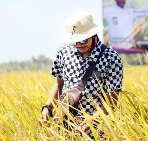 Asosiasi Distributor Pupuk Indonesia Banten Sebut Stok Pupuk Subsidi Aman, Distribusinya Dijamin Lancar
