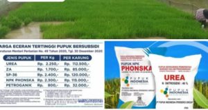 Jual Pupuk Subsidi Diatas HET, Kelompok Tani Keluhkan Pengecer di Desa Karya Bakti 