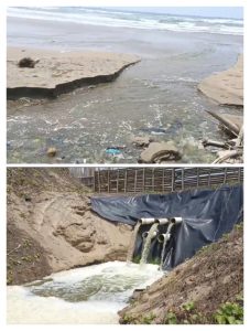 Tambak Udang Banyak Buang Limbah Cair ke Laut, ini Tanggapan DLHK
