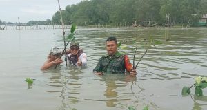Peringatan Hari Juang TNI AD ke-79, Kodim 0429/Lamtim Karya Bakti Tanam Mangrove