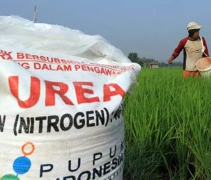 Kios Resmi Pupuk Subsidi: Petani Berharap di Tiap Desa