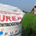 Kios Resmi Pupuk Subsidi: Petani Berharap di Tiap Desa