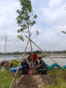 Tanam Ribuan Pohon Bersama Warga, Bukti Nyata Babinsa Koramil 429-15/Pasir Sakti Peduli Lingkungan
