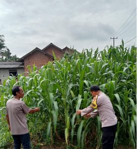 Polres Metro Sosialisasi Ketahanan Pangan Melalui Bhabinkamtibmas