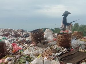 Sampah di TPA Cihara Menggunung, Sebabkan Bau Busuk dan Lalat, Ini Kata Anggota DPRD Lebak