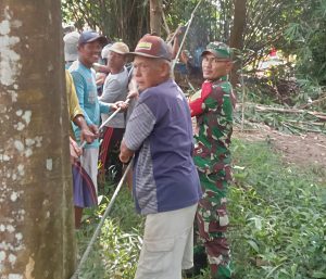 Antisipasi Cuaca Ekstrim, Babinsa Koramil 13/MK Bersama Warga Gotong-royong Tebang Pohon