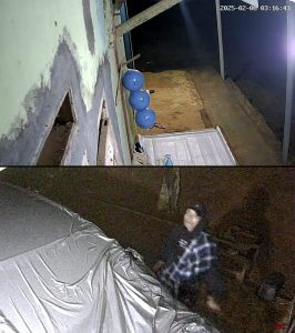 Viral !! Terekam CCTV Aksi Pencurian Kendaraan Roda Empat Gagal, Setelah Lampu Alarm Menyala