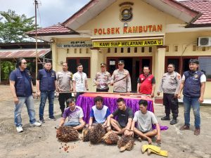 Respon Cepat Polsek Rambutan Tangkap Pencuri Sawit