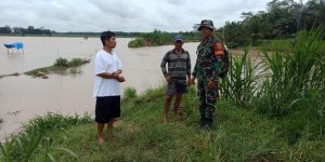 Waspada Banjir, Babinsa Koramil 429-14/Jabung Laksanakan Monitoring