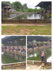 Lepaskan Lelahmu Ayo,,,! Mancing di Kolam Yayan 32 Gondang Rejo