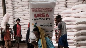 Oknum Anggota DPRD Lampung Timur Diduga Dalang Bisnis Pendistribusian Pupuk Bersubsidi 