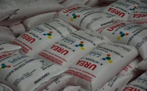 Diduga Ada Lingkaran Setan Pupuk Subsidi Jauh dari HET Tenang Tenang Saja