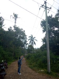 Diduga Kabel Jaringan Wifi Tidak Terawat Kabel, Jaringan Aliran Milik PLN Nampak Tertular Kurang Perawatan