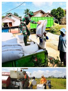 Ini Progres Serapan Gabah Wilayah Koramil 429-06/Purbolinggo