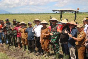 Dandim Bersama Forkopimda Lamtim Hadiri Panen Raya Padi Serentak 14 Provinsi