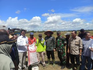 Panen Raya Serentak, Pemkab Pesawaran Fokus Pengairan dan Distribusi Pupuk