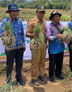 Ketahanan Pangan, dalam Waktu Dekat Pemdes Sukadadi Bakal Tanam Bawang Perdana