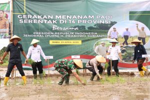 Hadiri Gerakan Tanam Padi Serentak 14 Provinsi Bersama Presiden, Dandim : Siap Sukseskan Swasembada Pangan