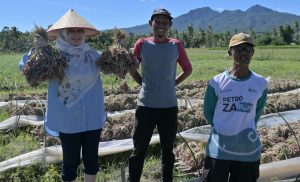 Bunda KWT Pesawaran Kunjungi Petani Bawang Merah di Desa Sukadadi