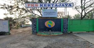 Petani Sawit Harap Aksi di PKS Kertajaya Berjalan Kondusif, Perjuangkan Hak tanpa Ganggu Operasional