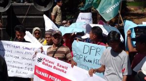 Sengketa Timbangan Sawit: Petani Tuntut Rp3,6 M, Perusahaan Bersikukuh Menunggu Pembuktian
