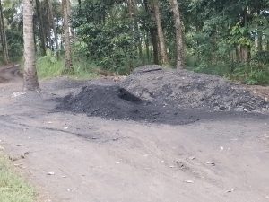 Bandel…! Tambang Batu Bara Ilegal di Blok Ciman Diduga Abaikan Larangan Petugas Perhutani,Terus Beroperasi