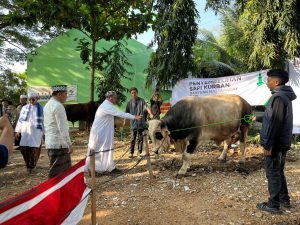 Pemkab Pesawaran Salurkan Belasan Hewan Kurban untuk Masyarakat